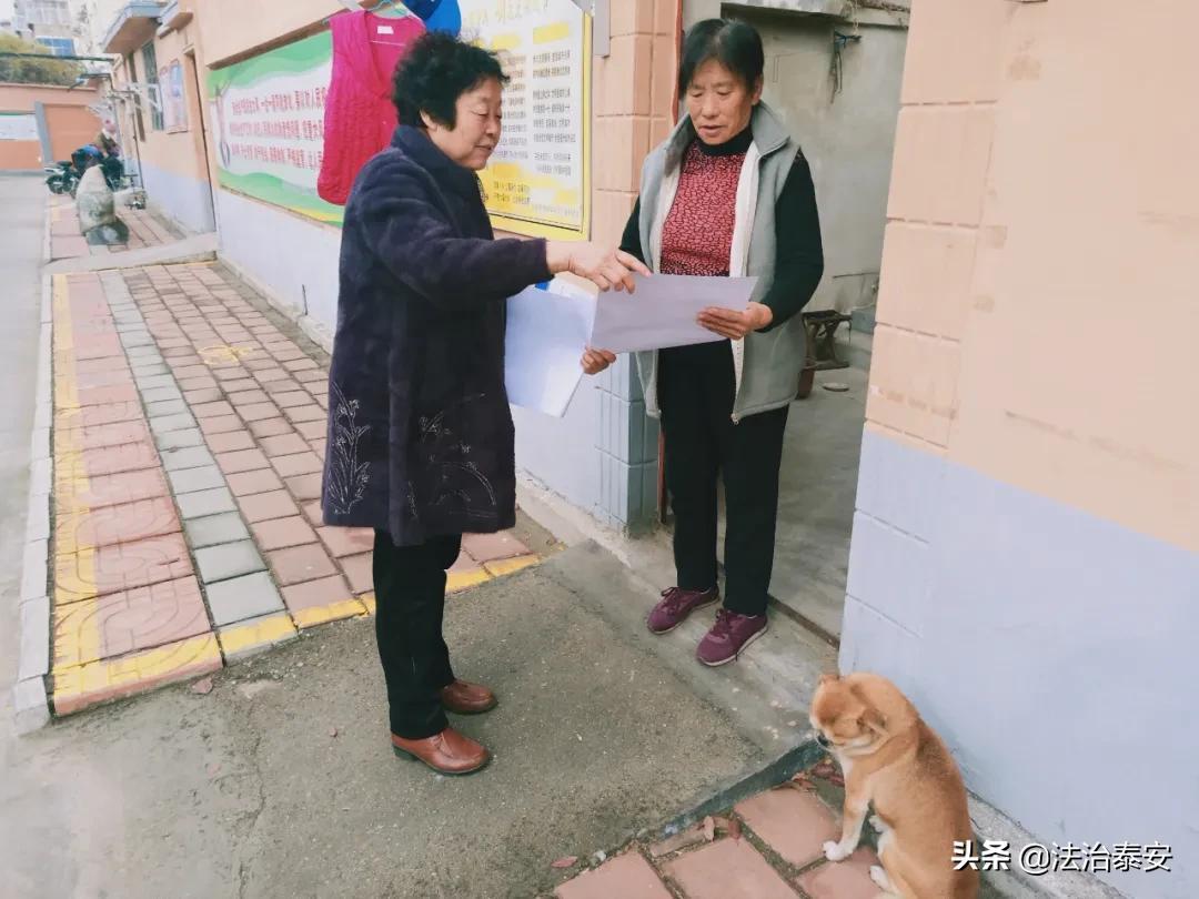 泰山科技学院大妈图片，生活真实面貌的画卷展现