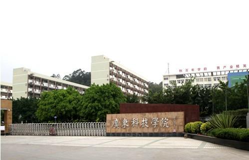 陈胜男在广东科技学院，个人成就与影响力的探索之旅