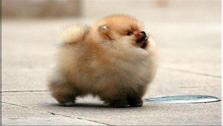 每天喝咖啡的科学安全极限，营养师揭秘安全剂量表