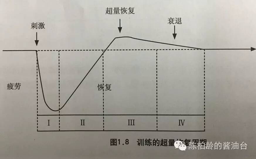 超量恢复原理与训练频率优化，破解健身无效的科学密钥