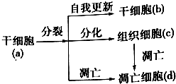 海马体数字记忆法破解记忆力下降之谜