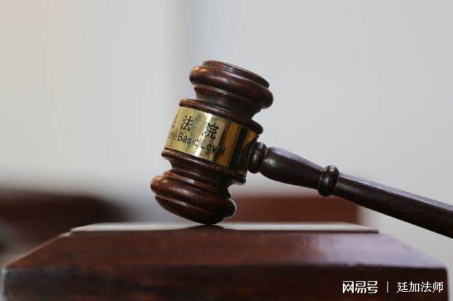 宠物行为矫正科学实践，正向强化、脱敏训练与环境管理综合方案
