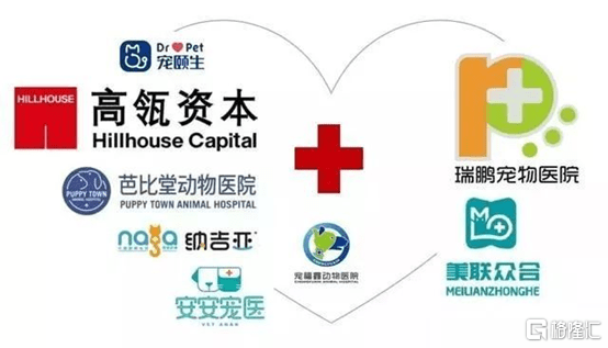 宠物经济新蓝海，智能用品、医疗与殡葬服务增长潜力探析