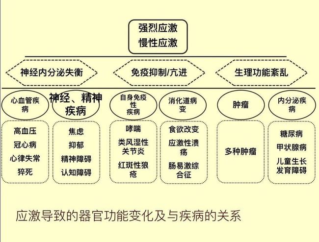 职业转型技能迁移三维解码，硬软元技能剖析与转化策略