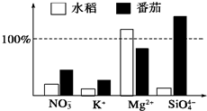 纸质书籍保存环境四维综合控制策略，温、湿、光、虫管理