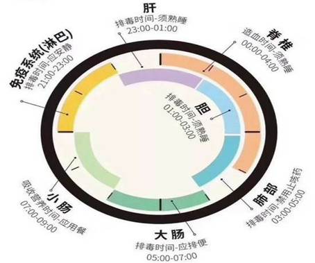 体检前生理节律管控，睡眠饮食运动情绪对指标干扰的综合调控