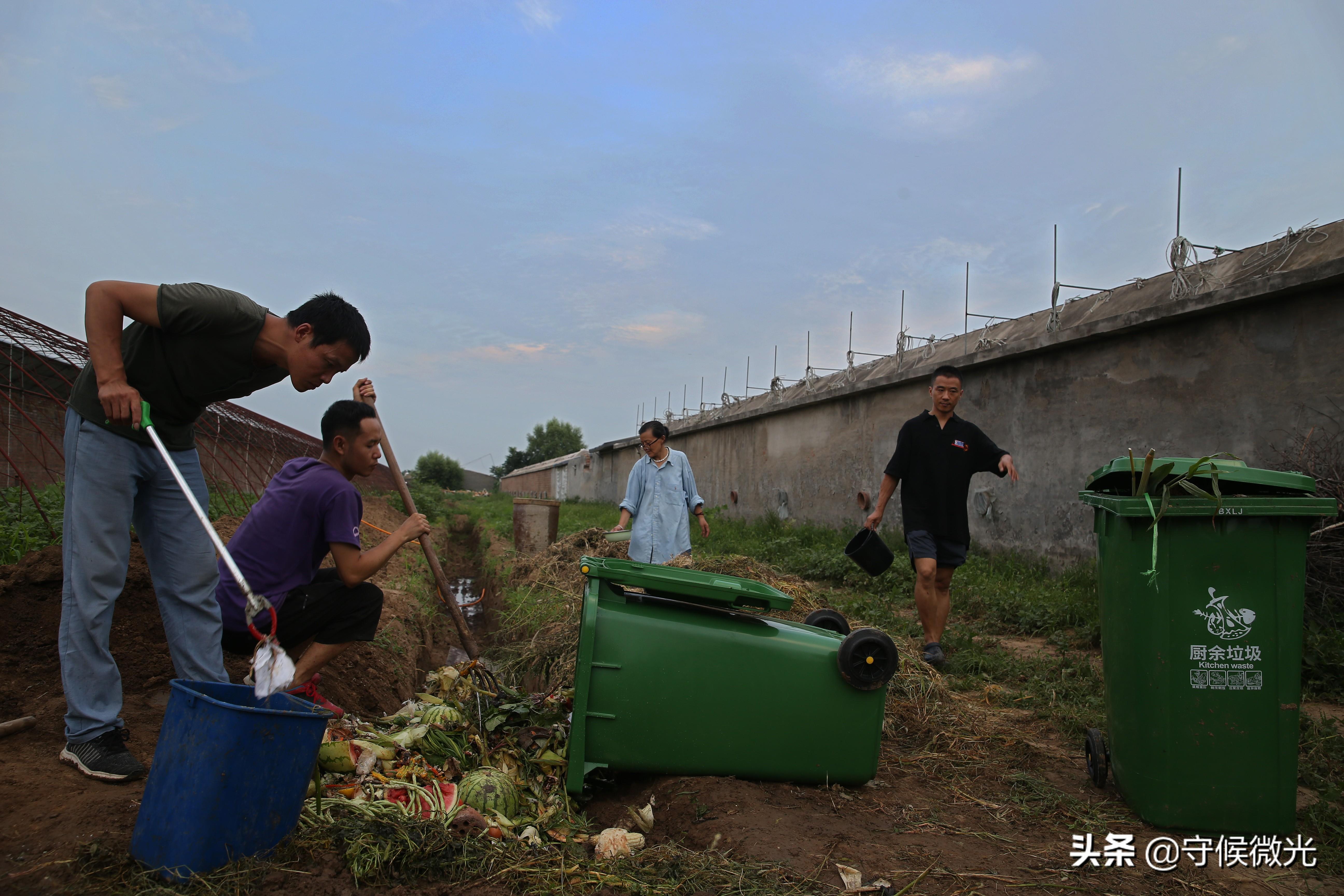 厨房垃圾环保处理方案对比，堆肥桶、厨余机与发酵菌优劣分析