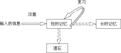 破解遗忘密码，艾宾浩斯曲线与间隔重复的科学应用
