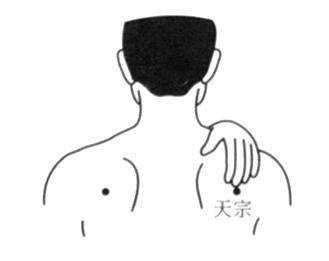 伏案族肩颈自救，胸锁乳突肌与斜方肌精准松解术