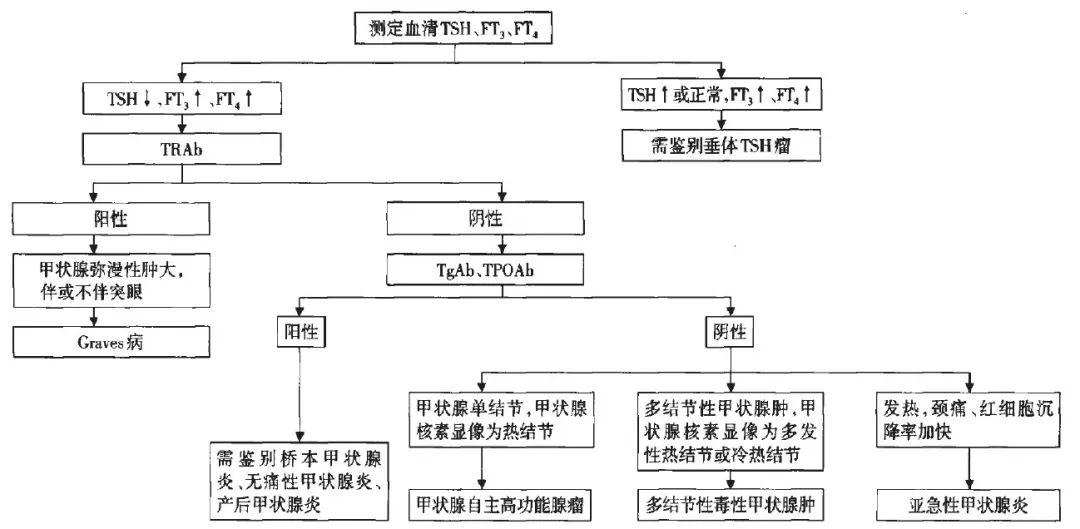 甲状腺抗体阳性随访深度解析，TPOAb/TgAb与桥本甲状腺炎进展的关联性研究