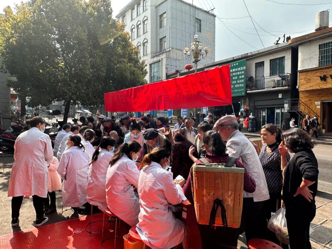 宠物老年病预防，关节、肾脏与认知功能营养干预全攻略