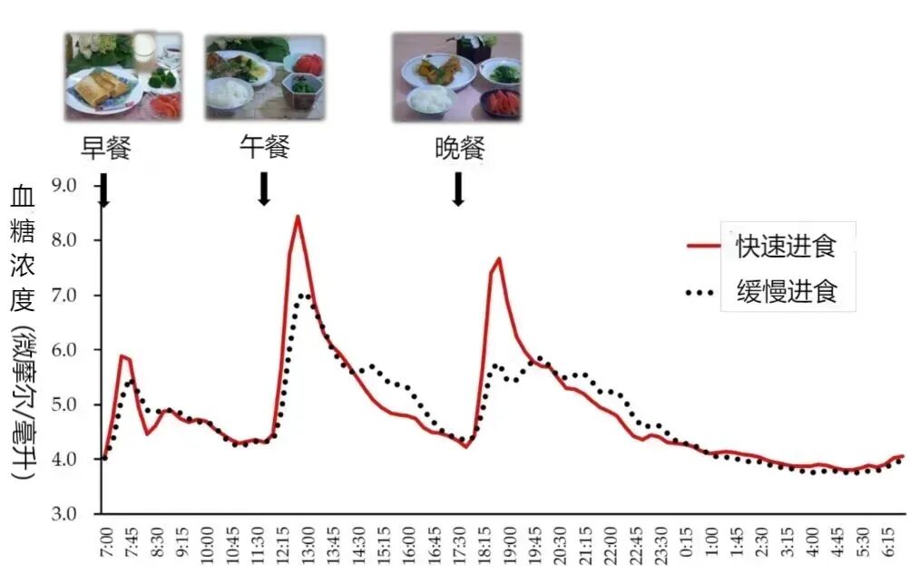 餐后血糖科学调控，进食顺序、咀嚼次数与膳食纤维的协同干预策略