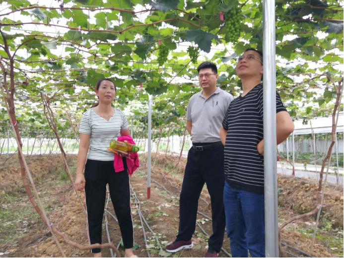 湖南农大东方科技学院，科技与未来前沿的探索阵地