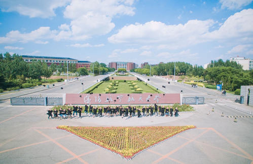 沈阳北方科技学院，科技教育的璀璨瑰宝