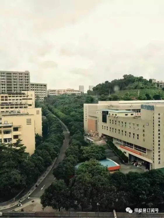 中山科技学院，新时代科技人才的摇篮