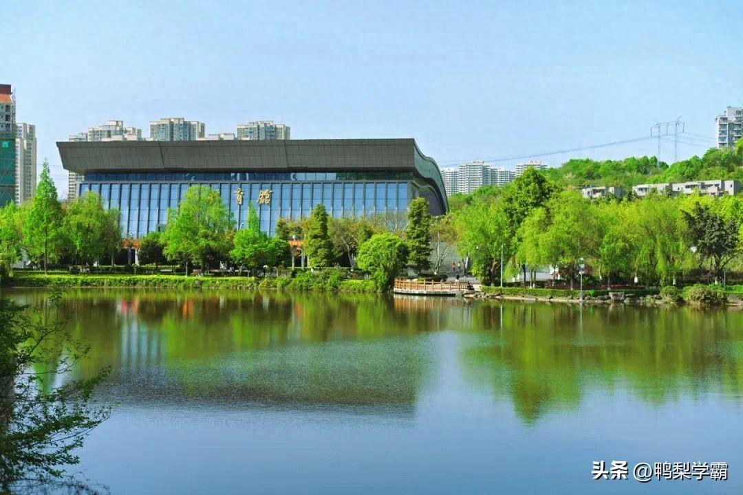 重庆科技学院，卓越高等学府的标杆