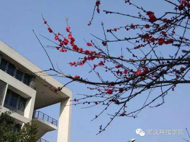 重庆科技学院与奥兰携手共探科技与文化的融合之旅