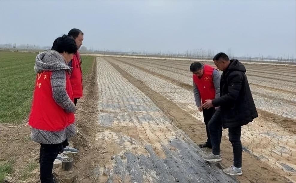 新乡科技学院办学实力与特色的深度解读，一本学院的崛起之路