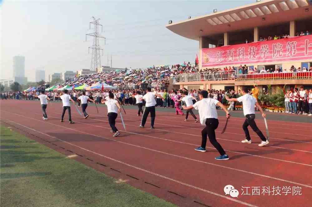 江西科技学院官方网站，科技与教育的融合之旅探索