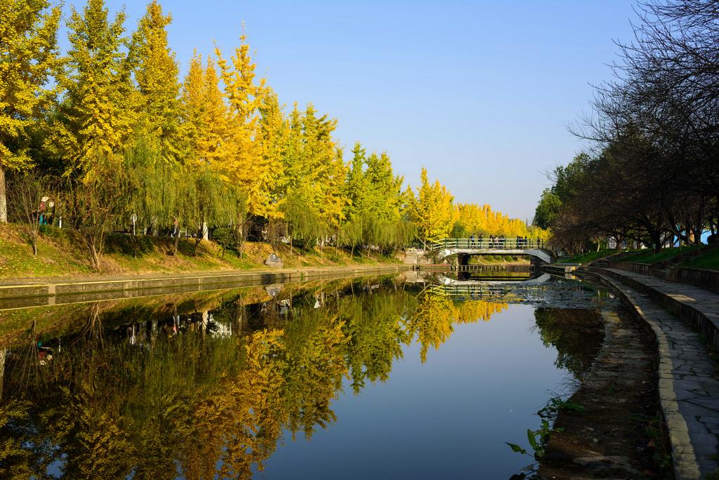 三峡大学科技学院贴吧，科技与教育的交汇探索