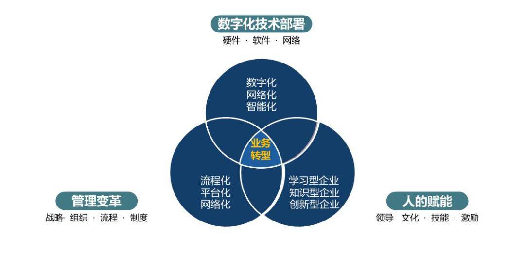 企业数字化转型中的管理创新策略探究