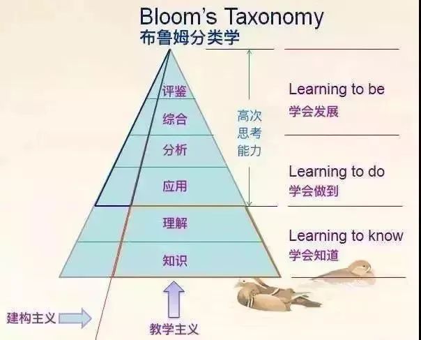 学院如何培育学生批判性思维与创新解决方案能力