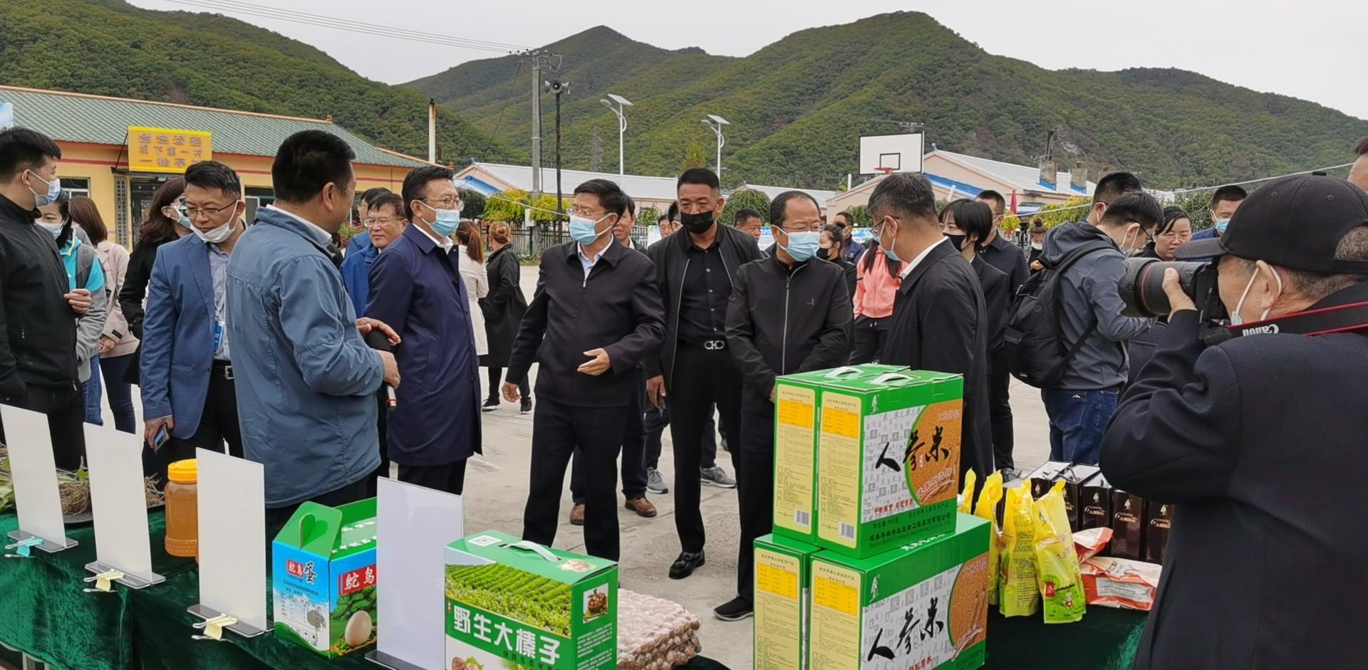 科技学院，通过科研项目实践培育学生经验之道