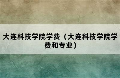 大连科技学院学费深度解析与探讨