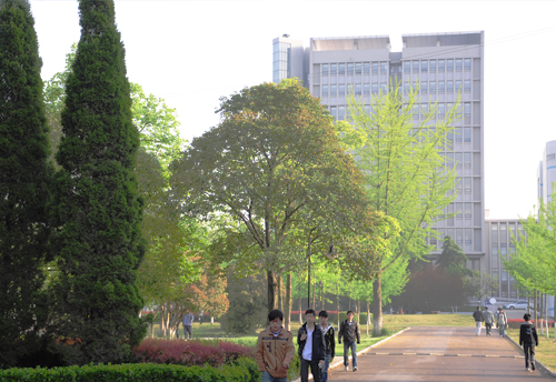 安徽科技学院登录，科技教育之门开启