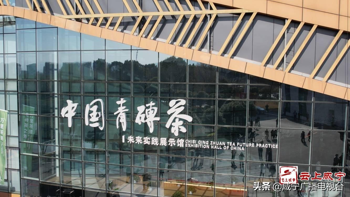 赤壁科技学院，卓越教育的地理坐标